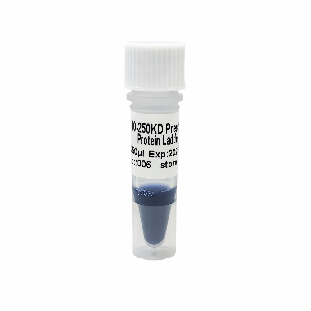 10-250KD Prestained Immunoblotting Protein Ladder