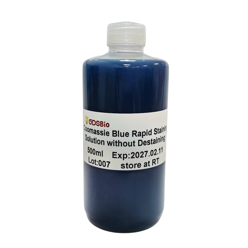 Coomassie Blue Rapid Staining Solution without Destaining