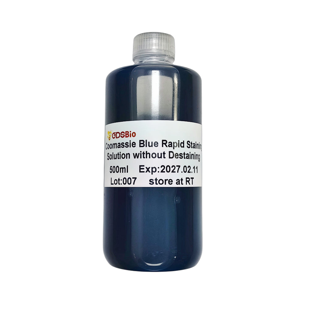 Coomassie Blue Rapid Staining Solution without Destaining