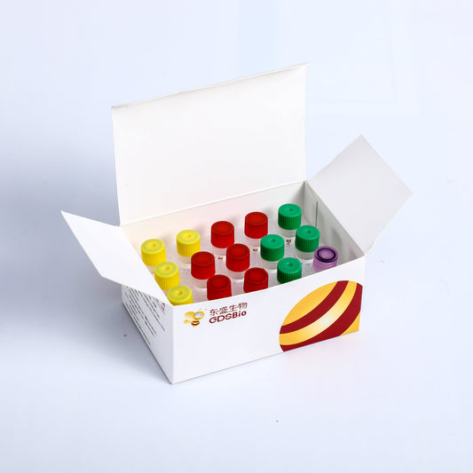 Kit de preparación rápida de bibliotecas de ADN