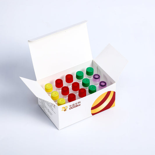 Kit de preparación rápida de biblioteca de ADN Plus