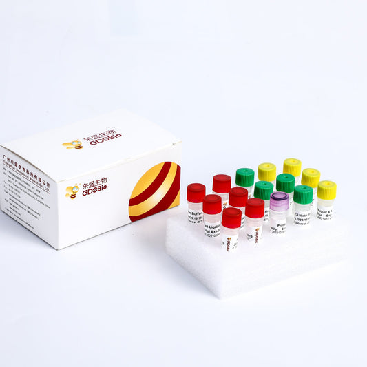 Kit de preparación rápida de bibliotecas de ADN para MGI