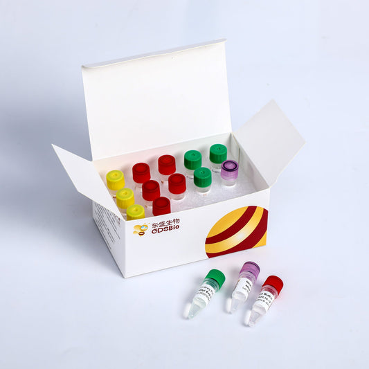 Kit de preparación rápida de biblioteca de ADN Plus para MGI