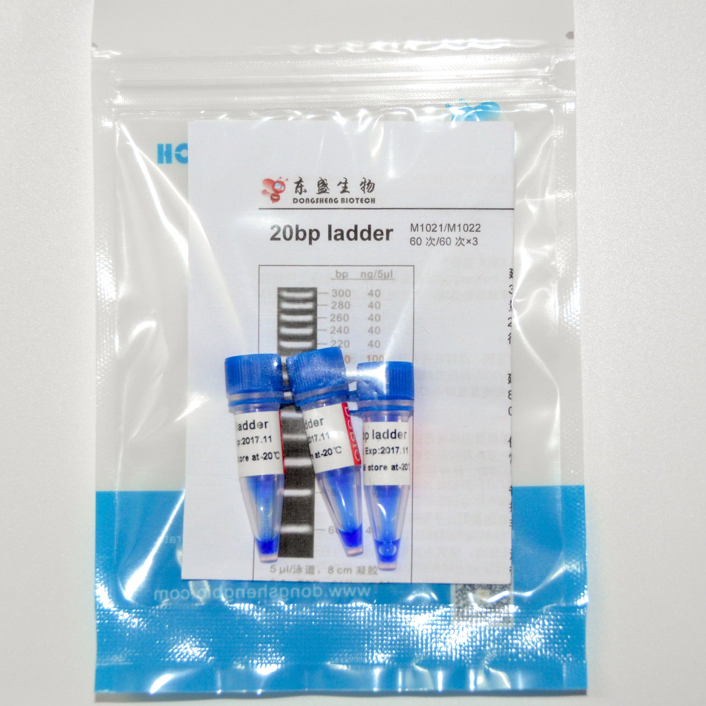 20bp DNA Ladder