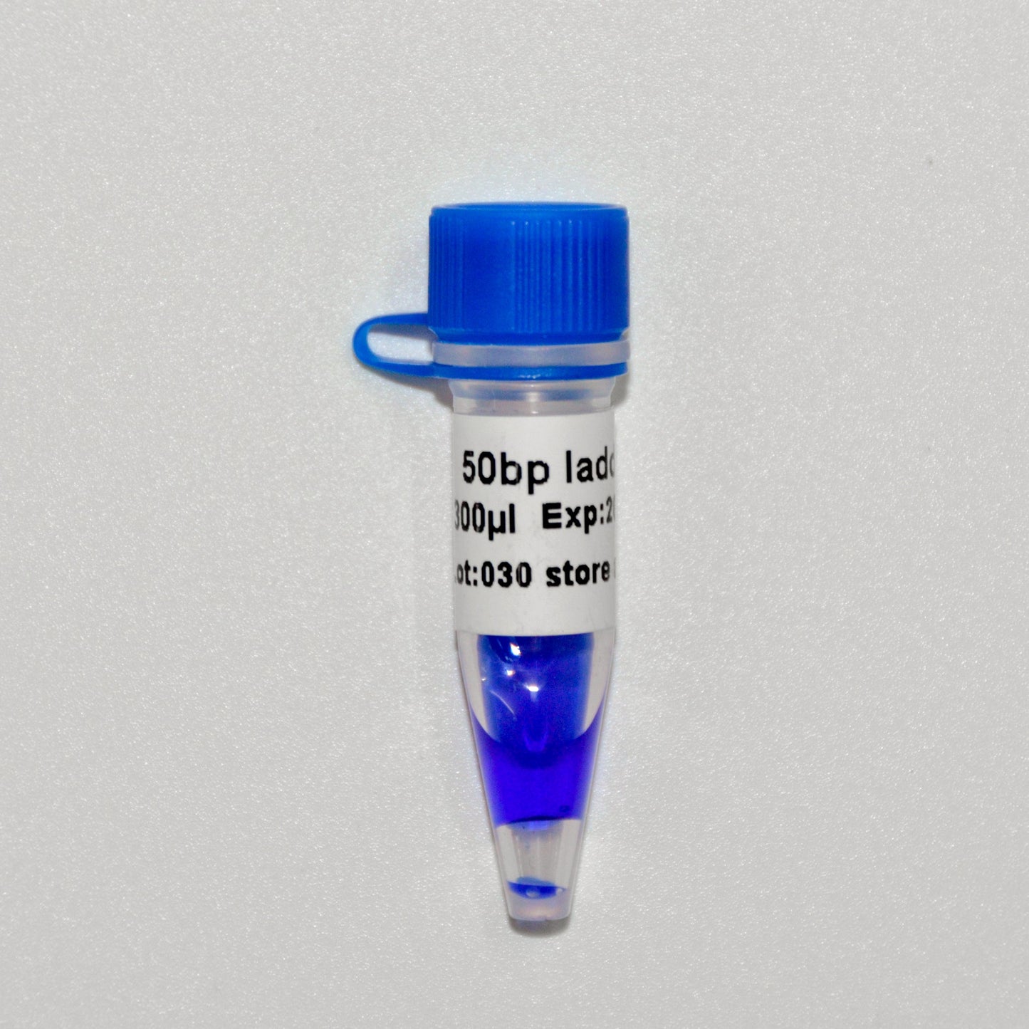 50bp DNA Ladder