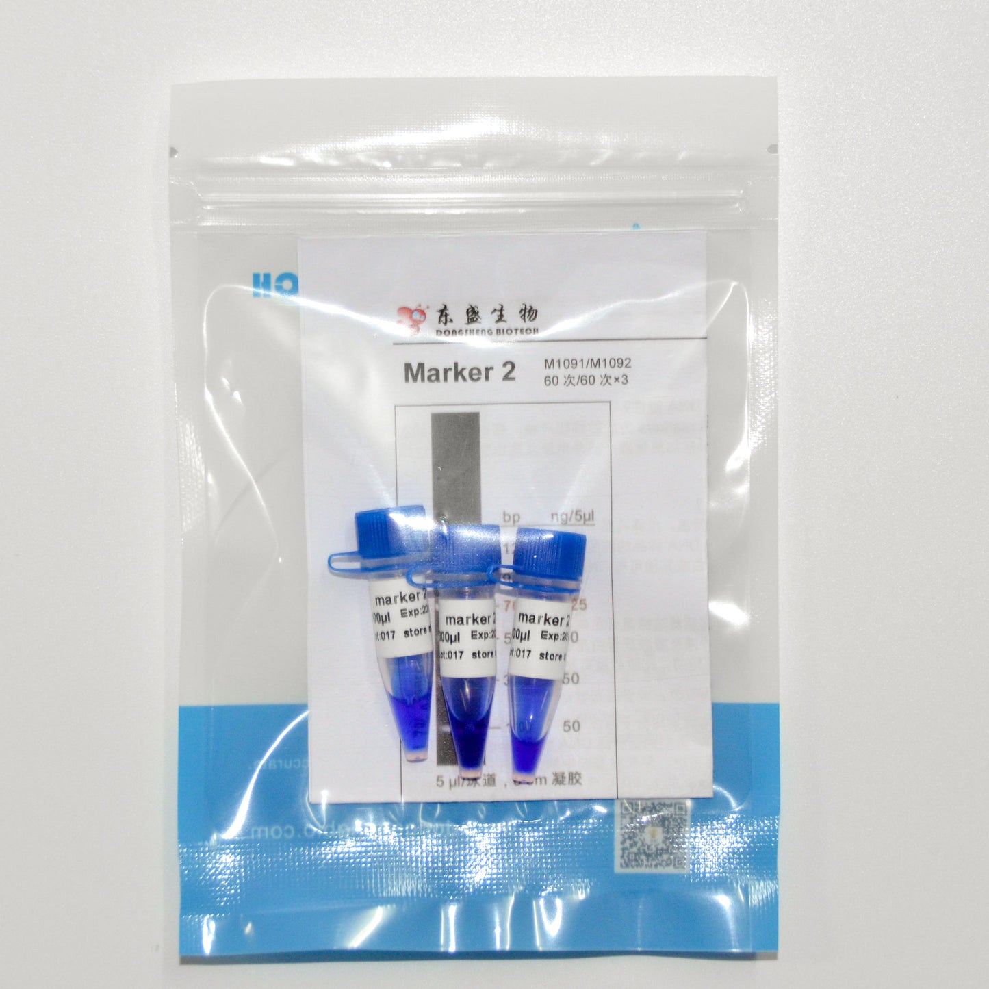 Marker 2 DNA Marker
