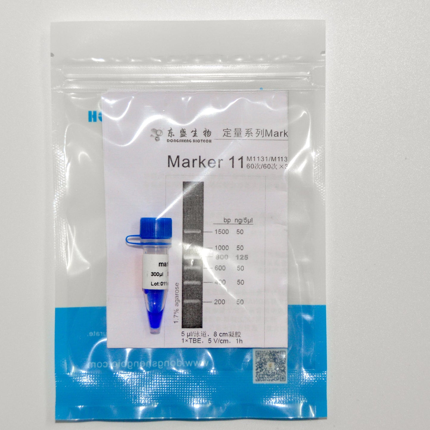 Marker 11 DNA Marker
