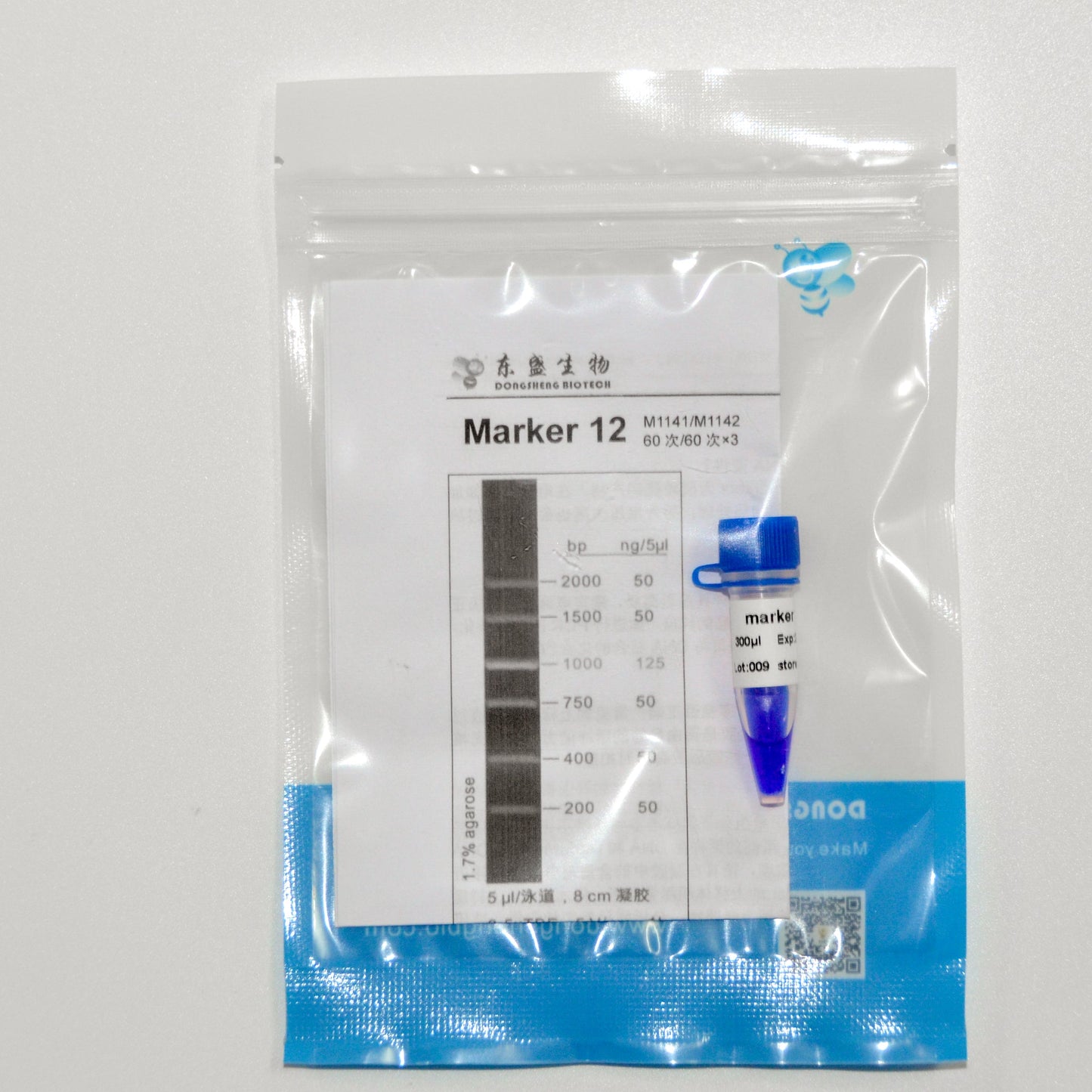 Marker 12 DNA Marker