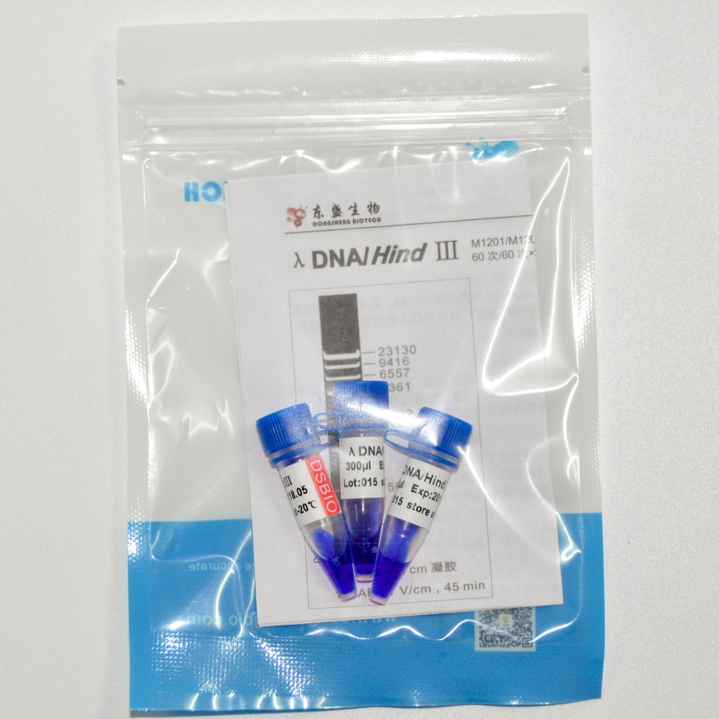 Lambda λ DNA/HindIII