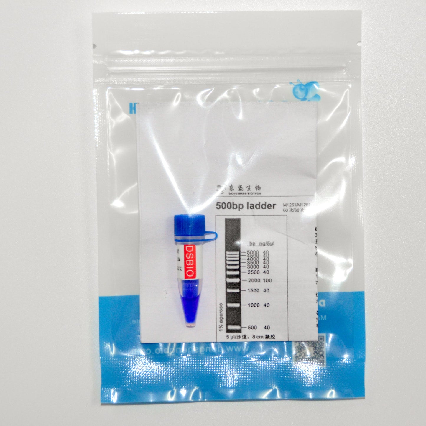 500bp DNA Ladder
