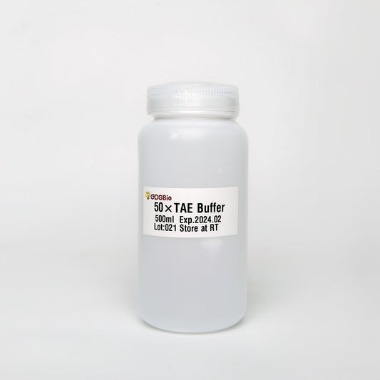 Tampón TAE 50X