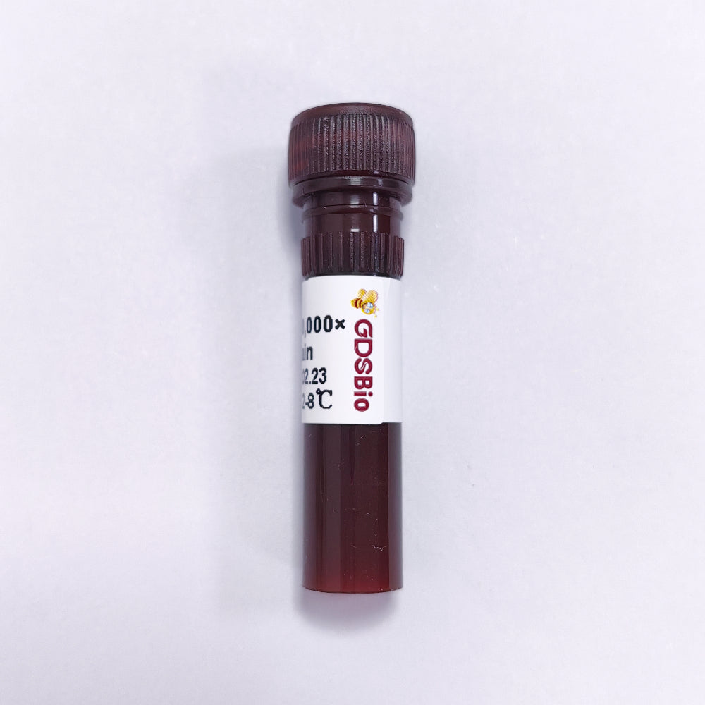 AIE-Gelgreen Nucleic Acid Stain