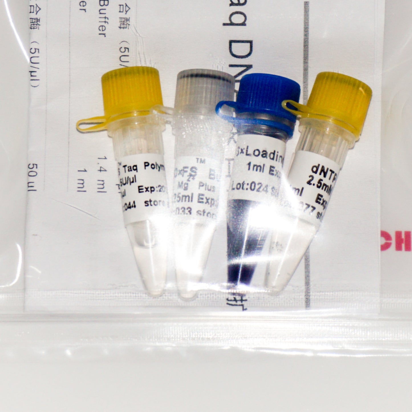 FS Taq DNA Polymerase