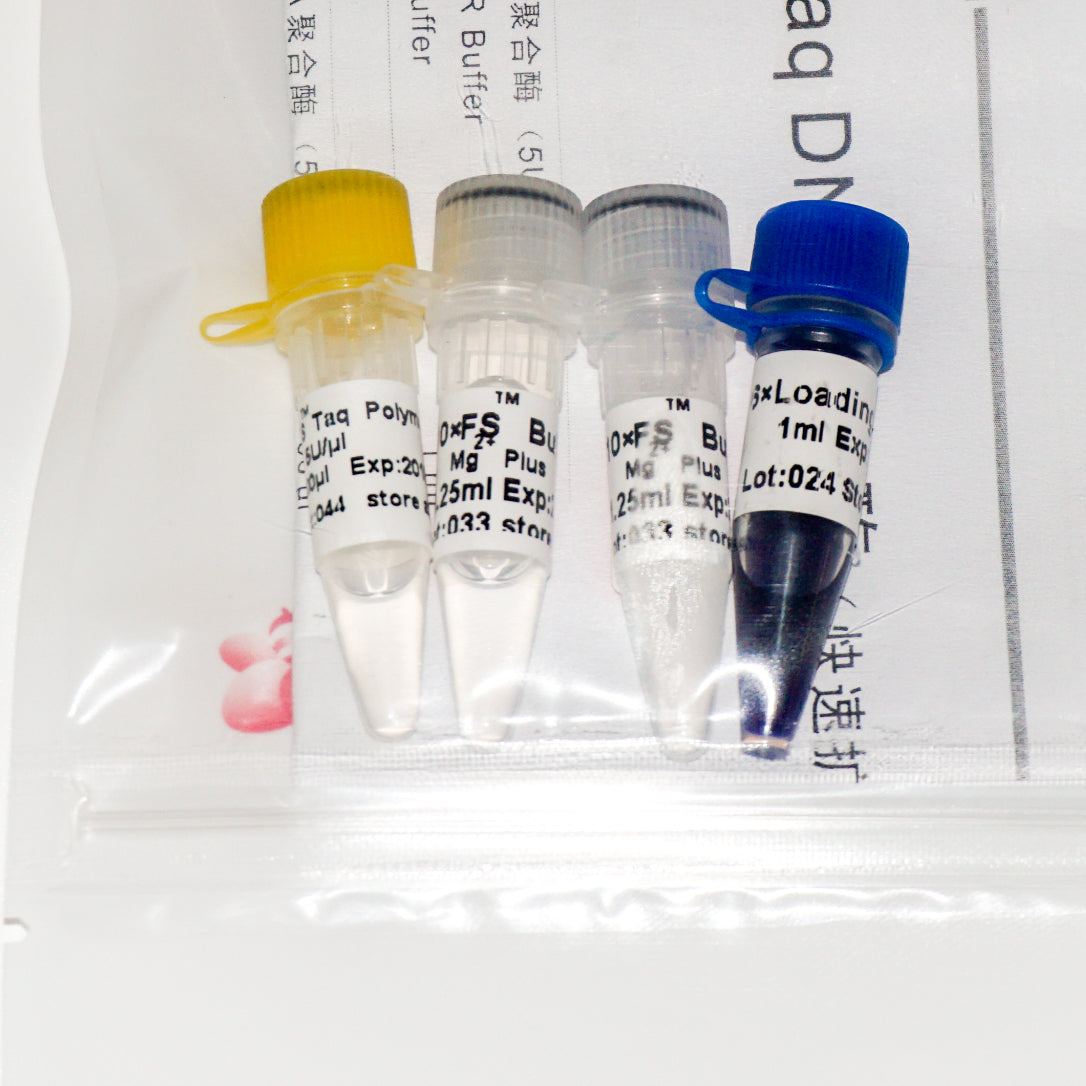FS Taq DNA Polymerase