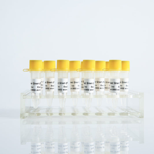 Mezcla qPCR Power Green (sin ROX)