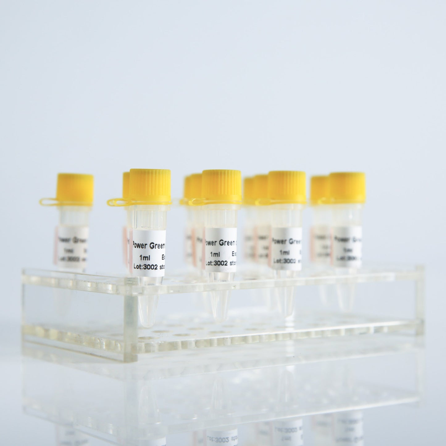 Mezcla qPCR Power Green (sin ROX)