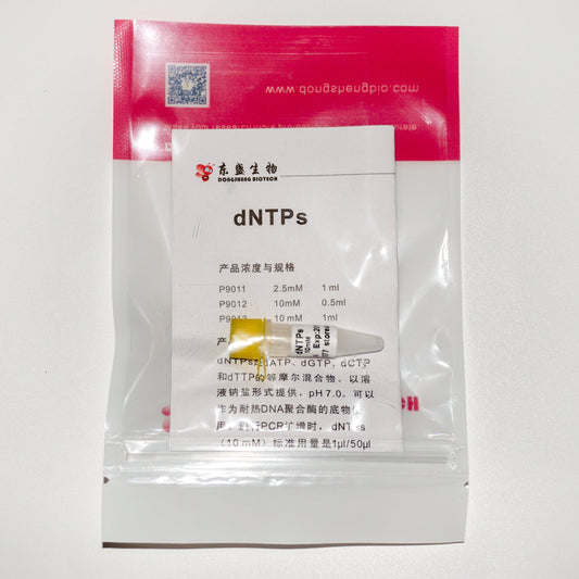 dNTP, 10 mM