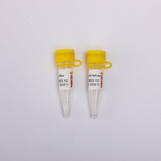 Power Reverse Transcriptase