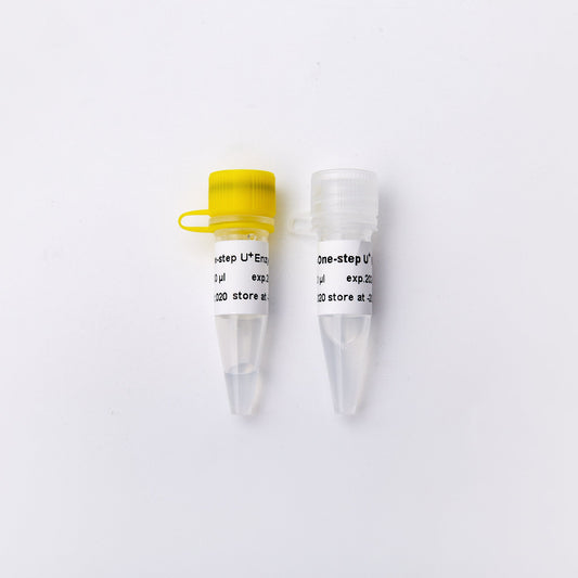 Kit RT-qPCR de un solo paso Power Green