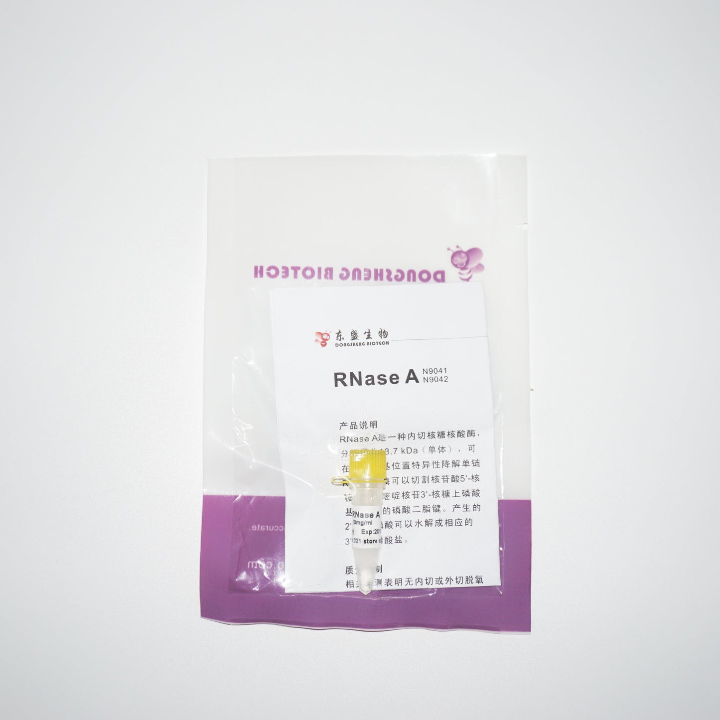 RNase A 10 mg/mL