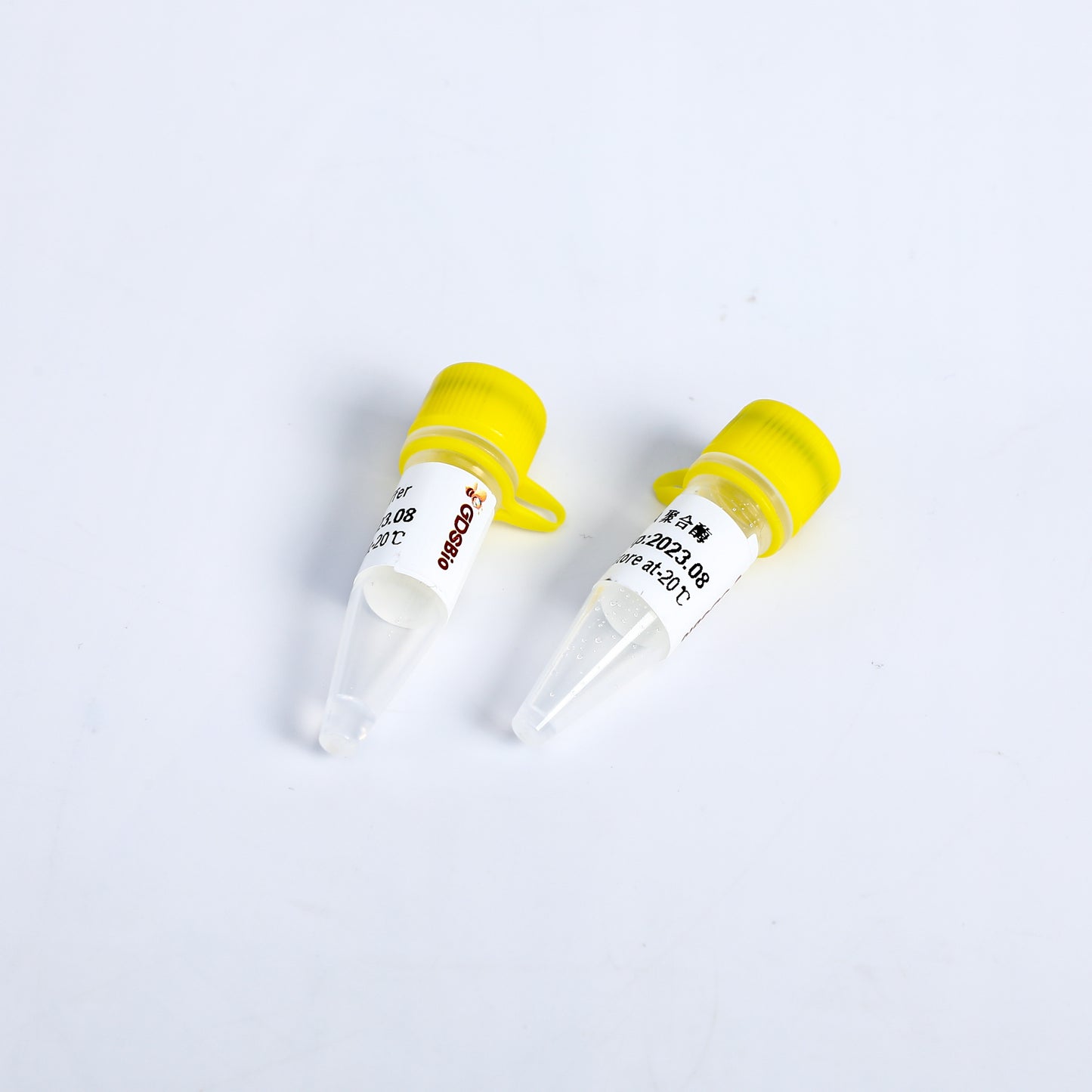 KASP PCR MixPlus