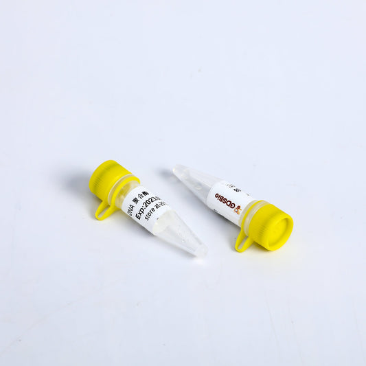 Mezcla de qPCR de ARMS