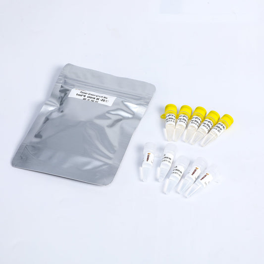 Mezcla qPCR Power Green (bajo ROX+)