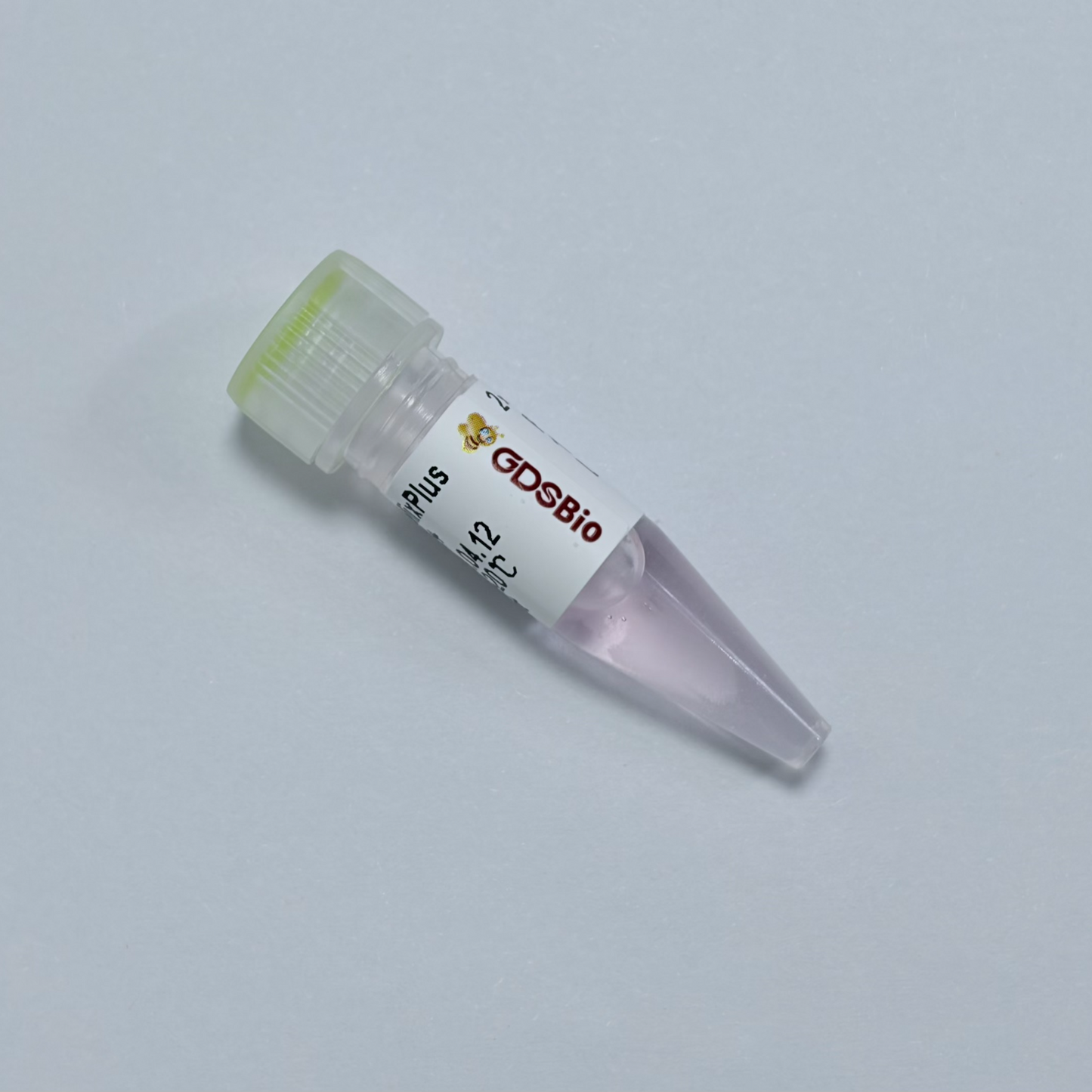 KASP PCR MixPlus (Low ROX+)