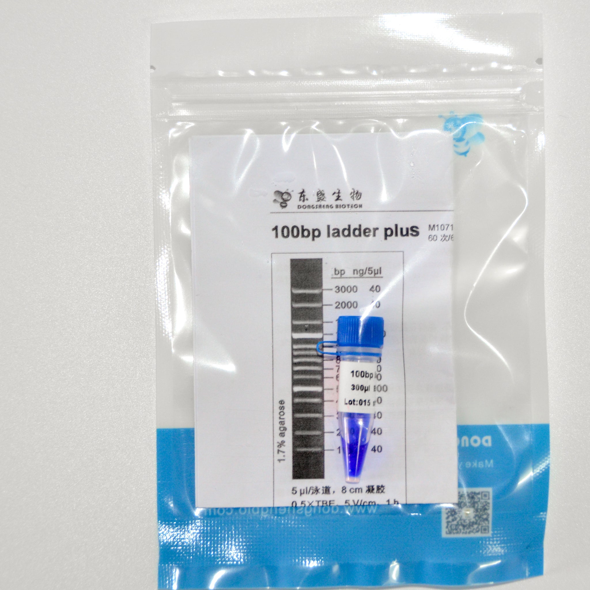 100bp DNA Ladder Plus – GDSBio
