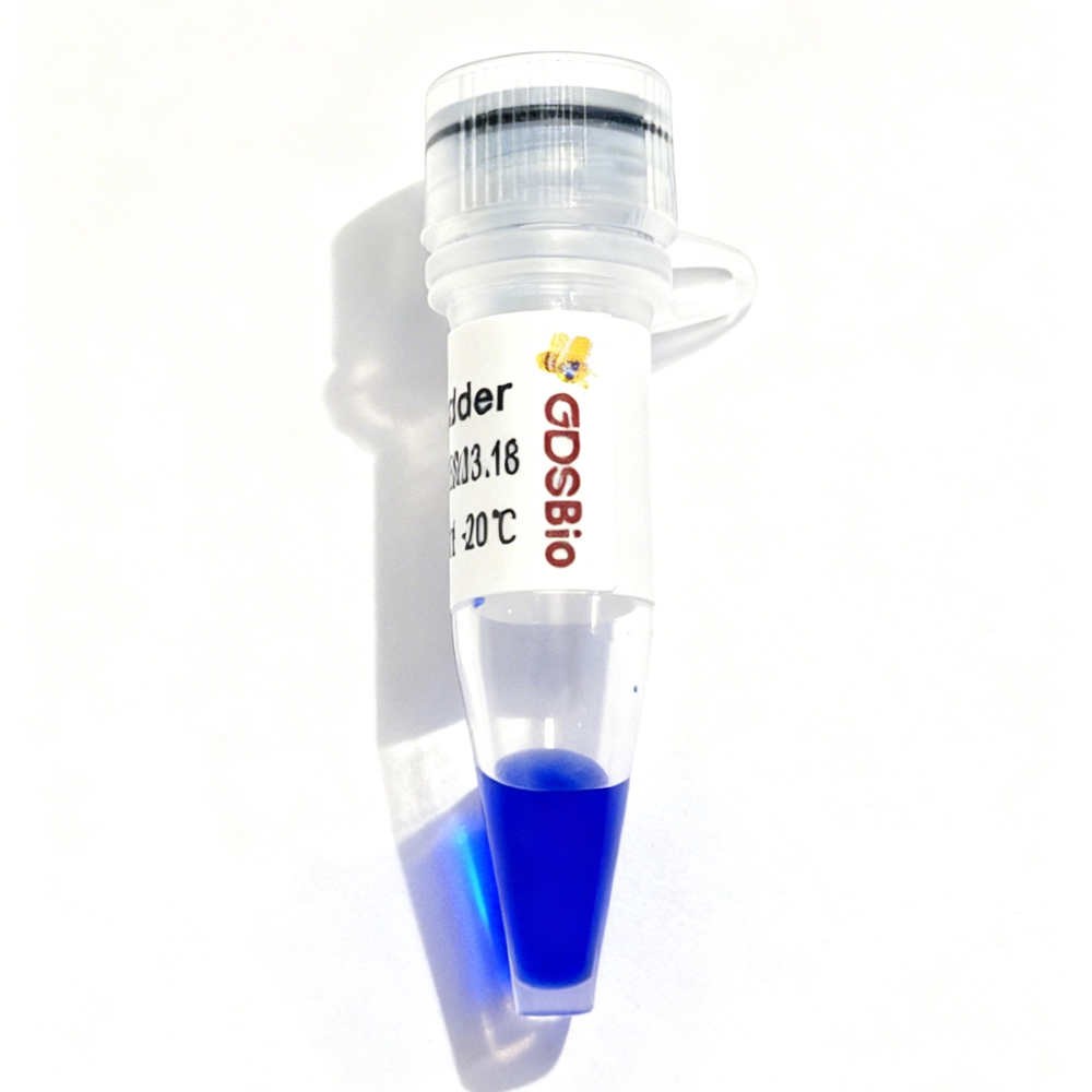 20bp Low Ladder DNA Marker