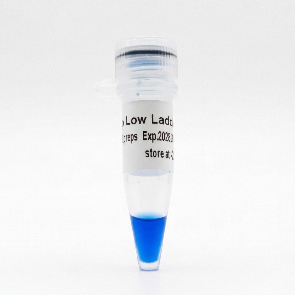 20bp Low Ladder DNA Marker
