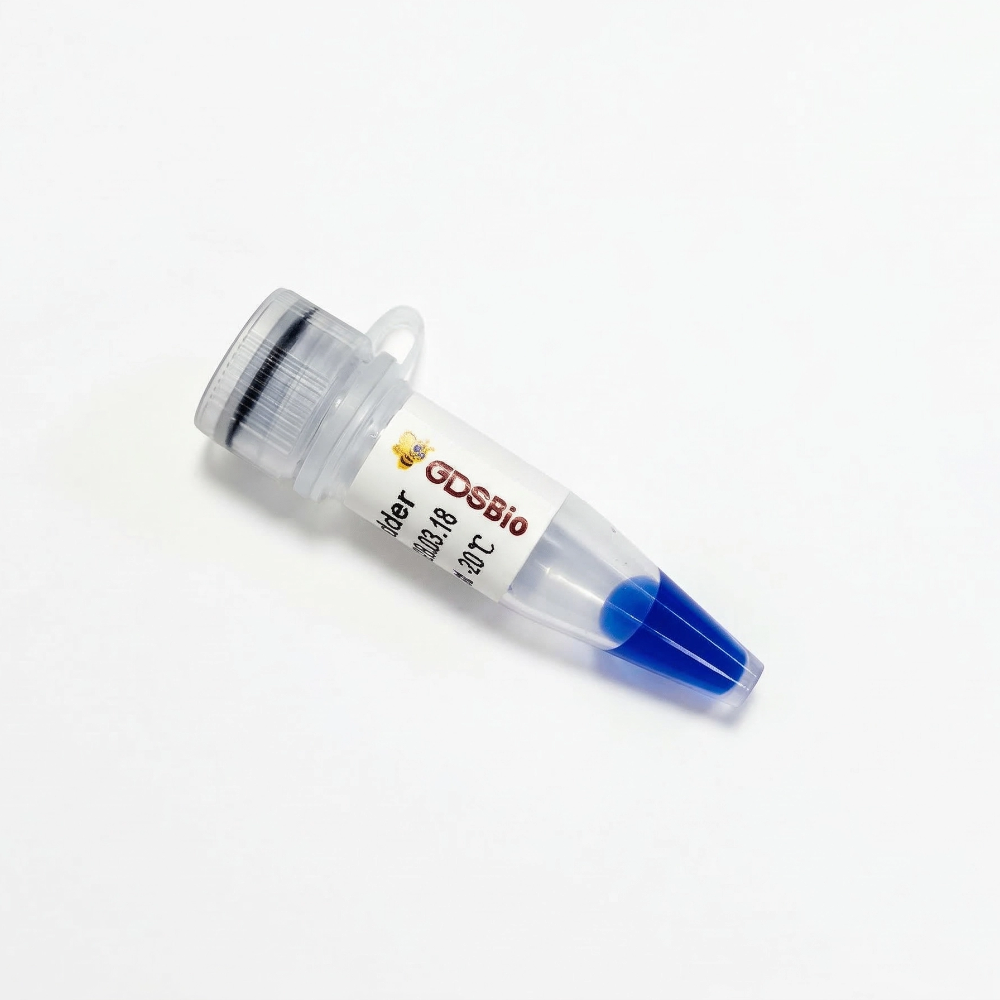 20bp Low Ladder DNA Marker