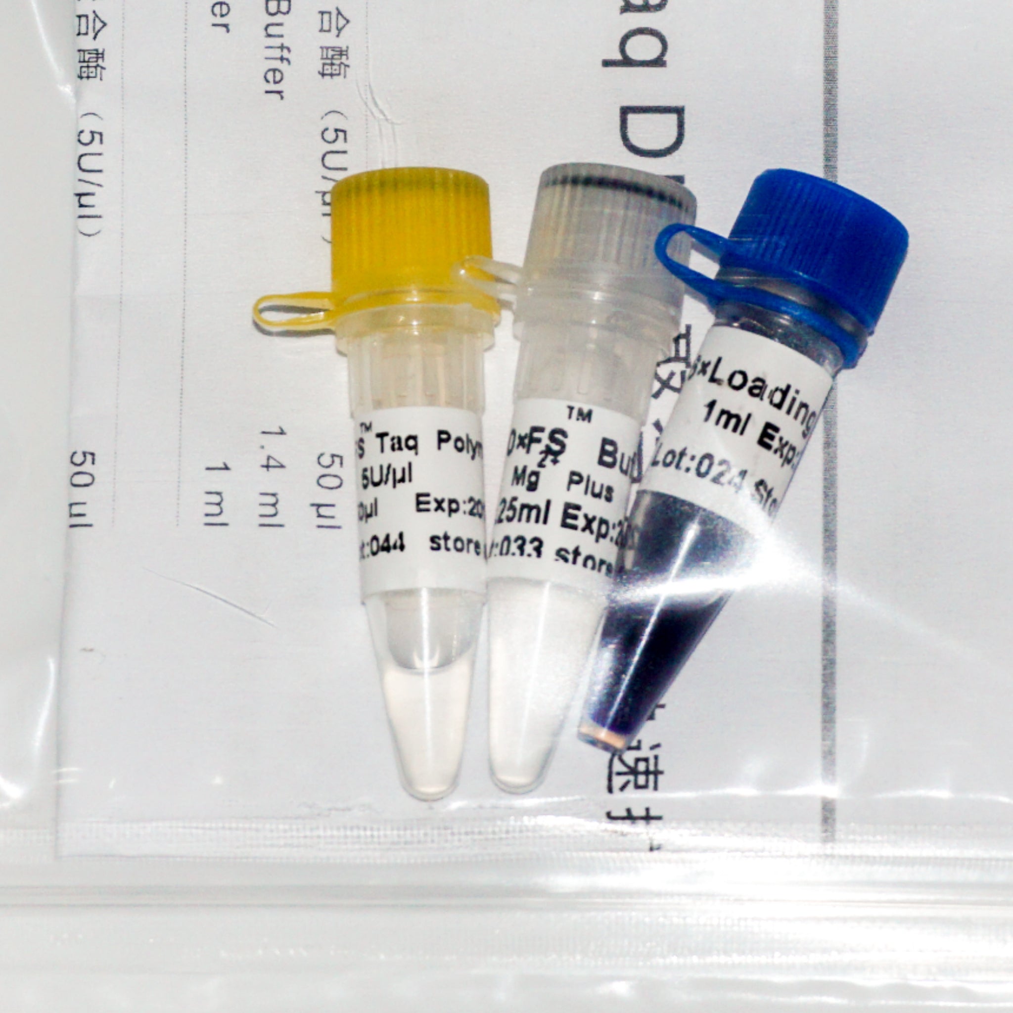 FS Taq DNA Polymerase | High-Speed PCR with Fast Elongation and ...