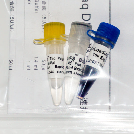 FS Taq DNA Polymerase