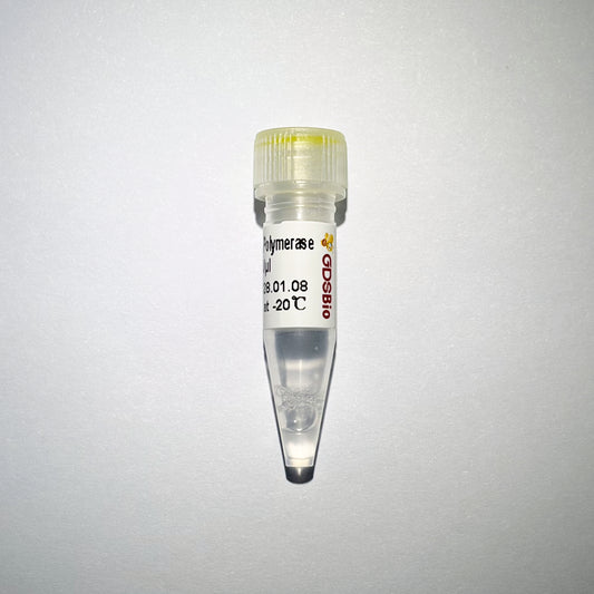 GDSlyo Hotstart Taq Polymerase (NAF)