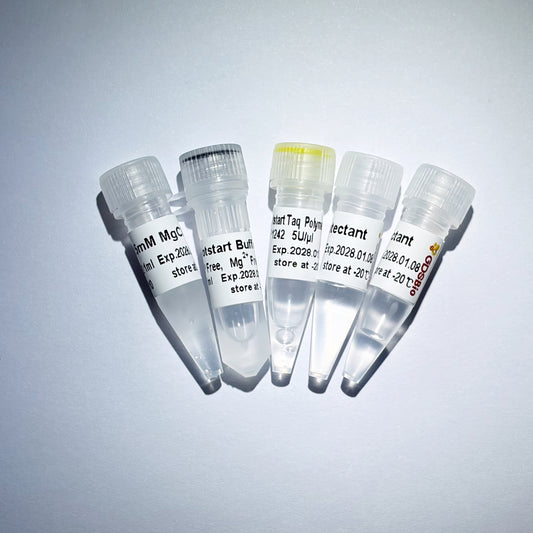 GDSlyo Hotstart Taq Polimerasa