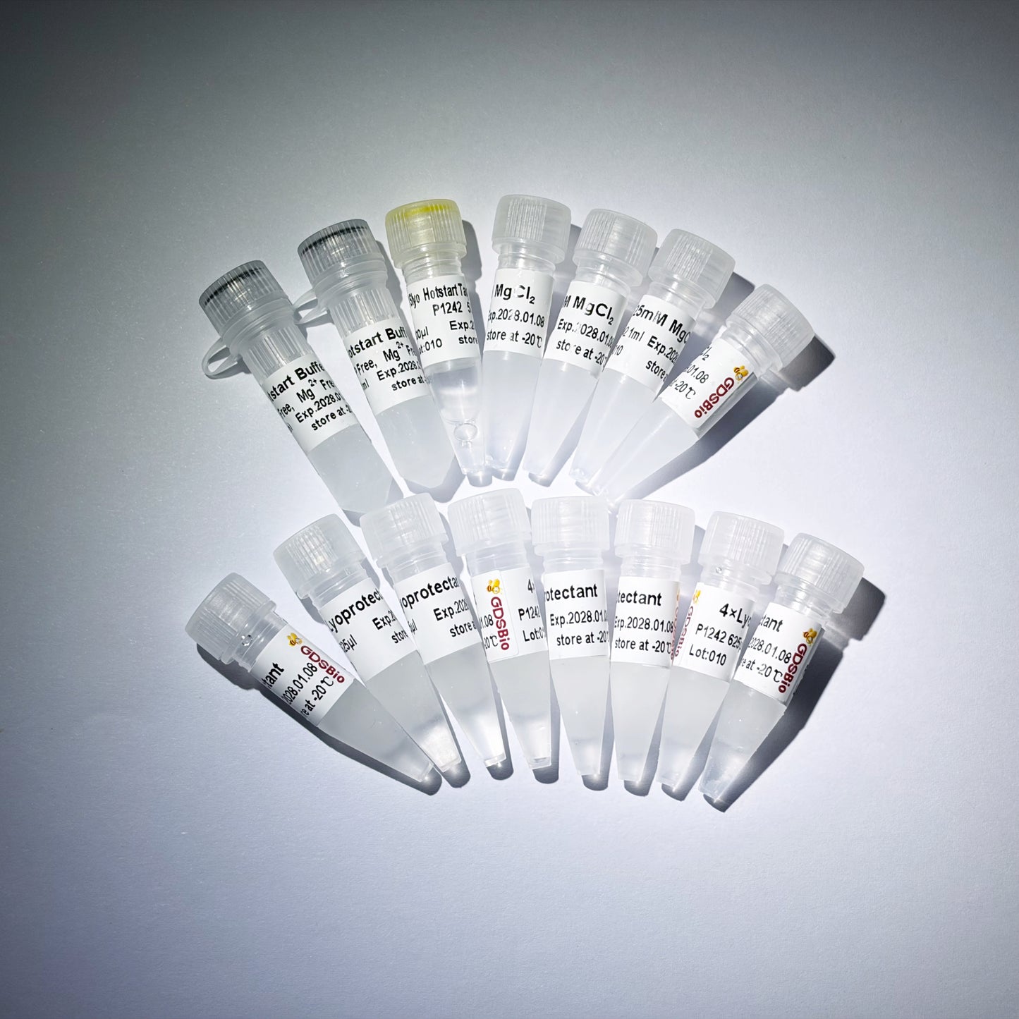 GDSlyo Hotstart Taq Polimerasa