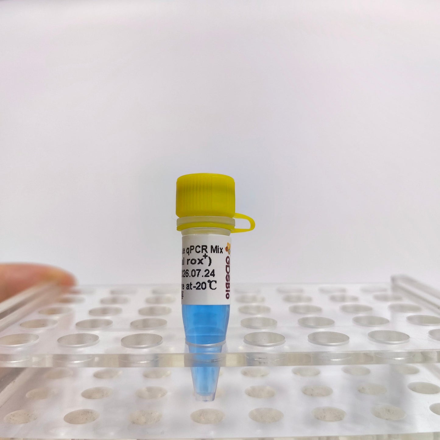 SYBR Green Blue qPCR Mix (Universal ROX+)