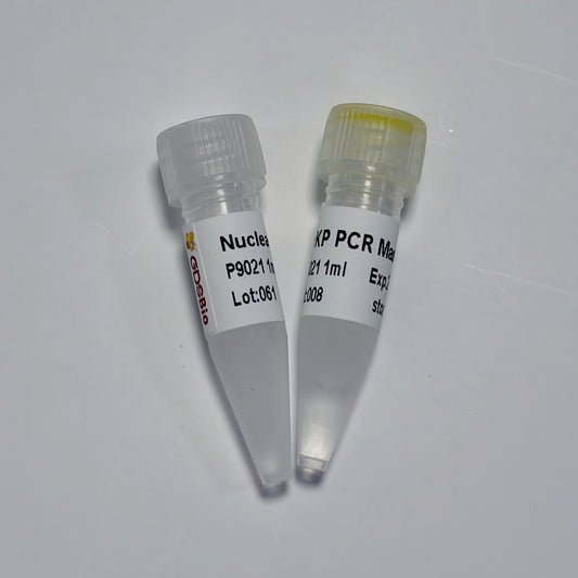 KP PCR Master Mix