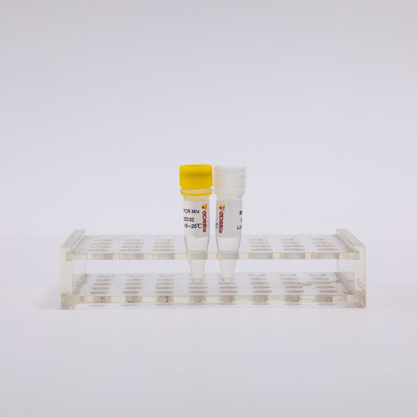 2X One Step RT-PCR Mix 2-tube