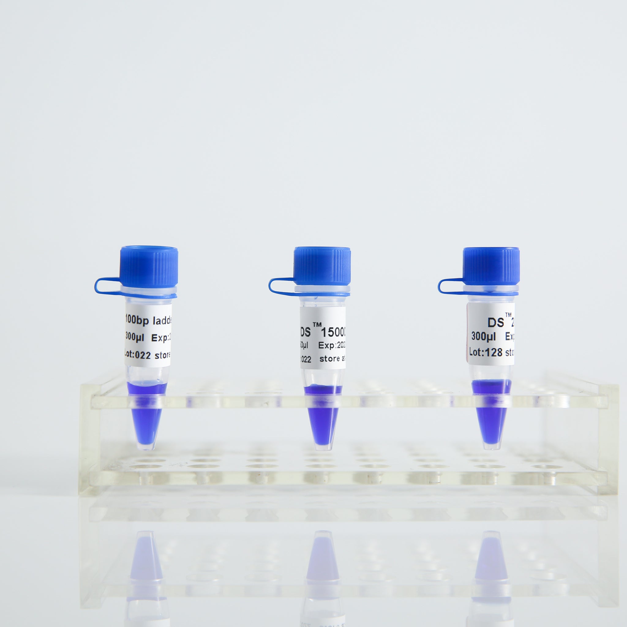 GDSBio Classic DNA Marker | Precise Molecular Weight Standards for Gel