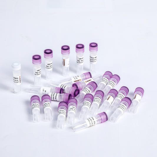 DNA Adapter Set for MGI