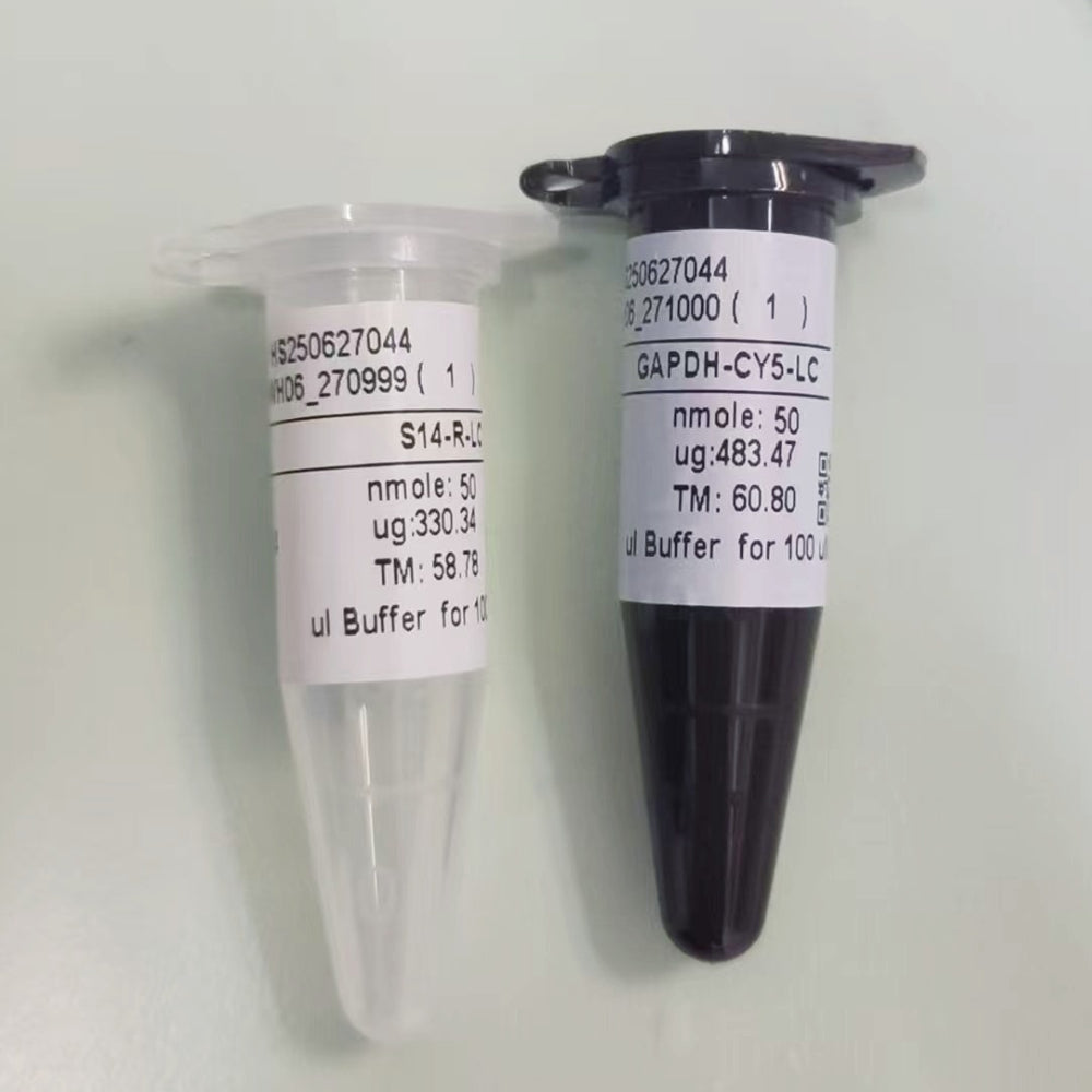 Síntesis de cebadores/sonda