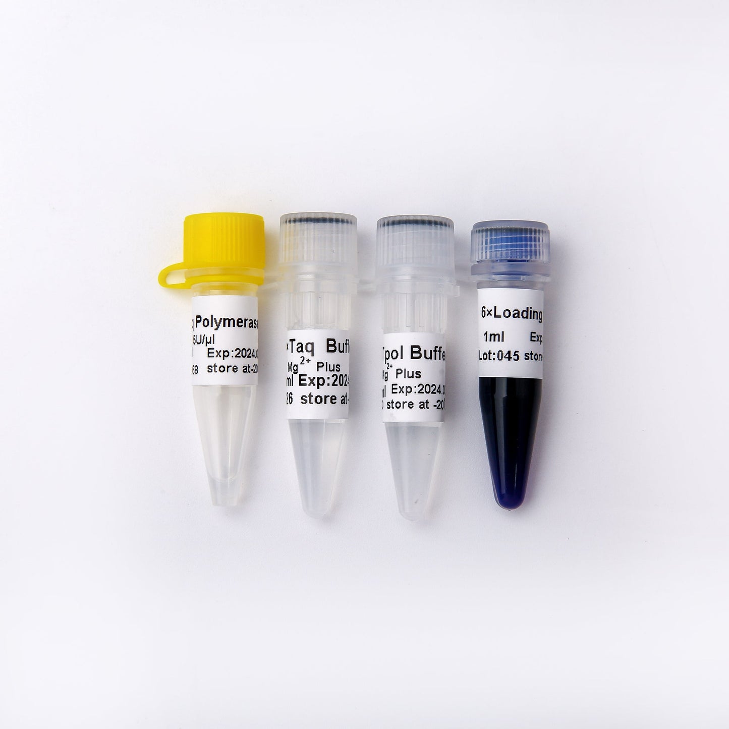 Taq DNA Polymerase