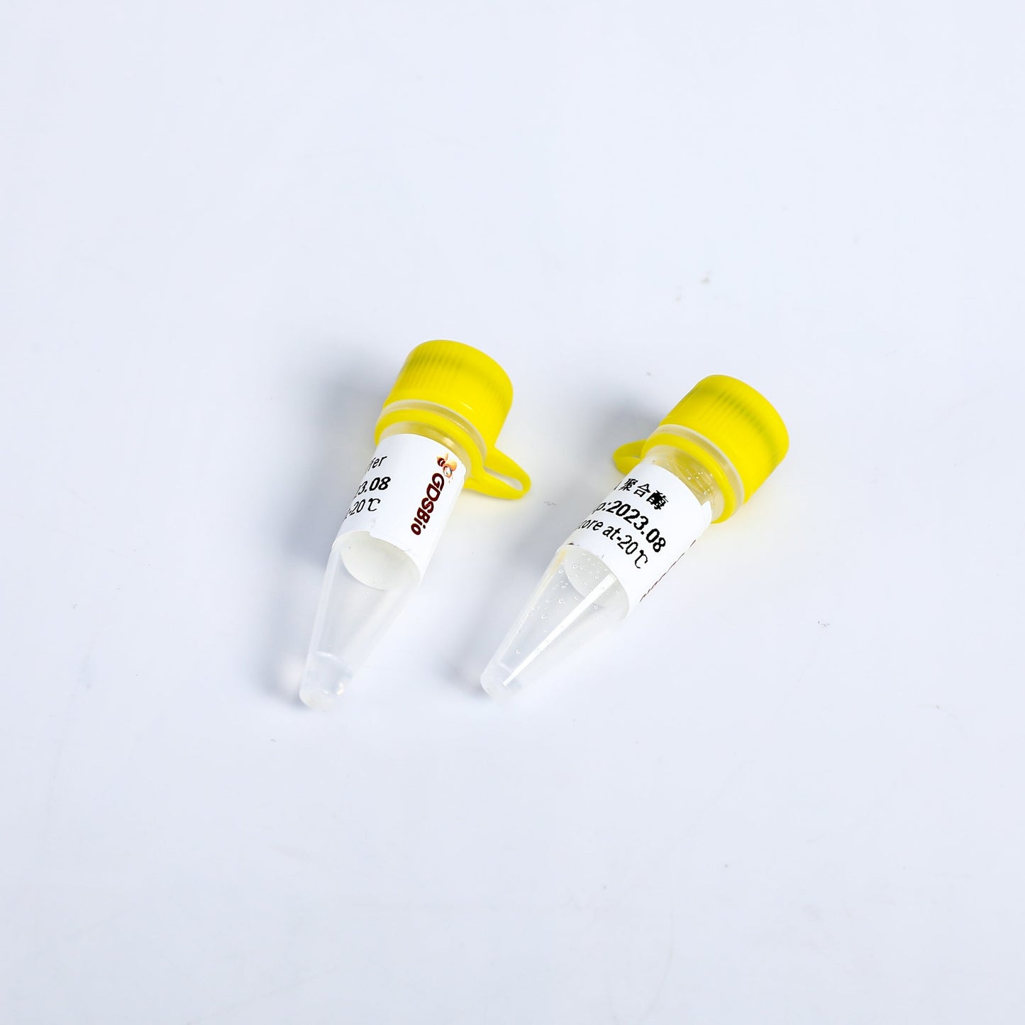 Bst DNA Polymerase, Exonuclease Minus