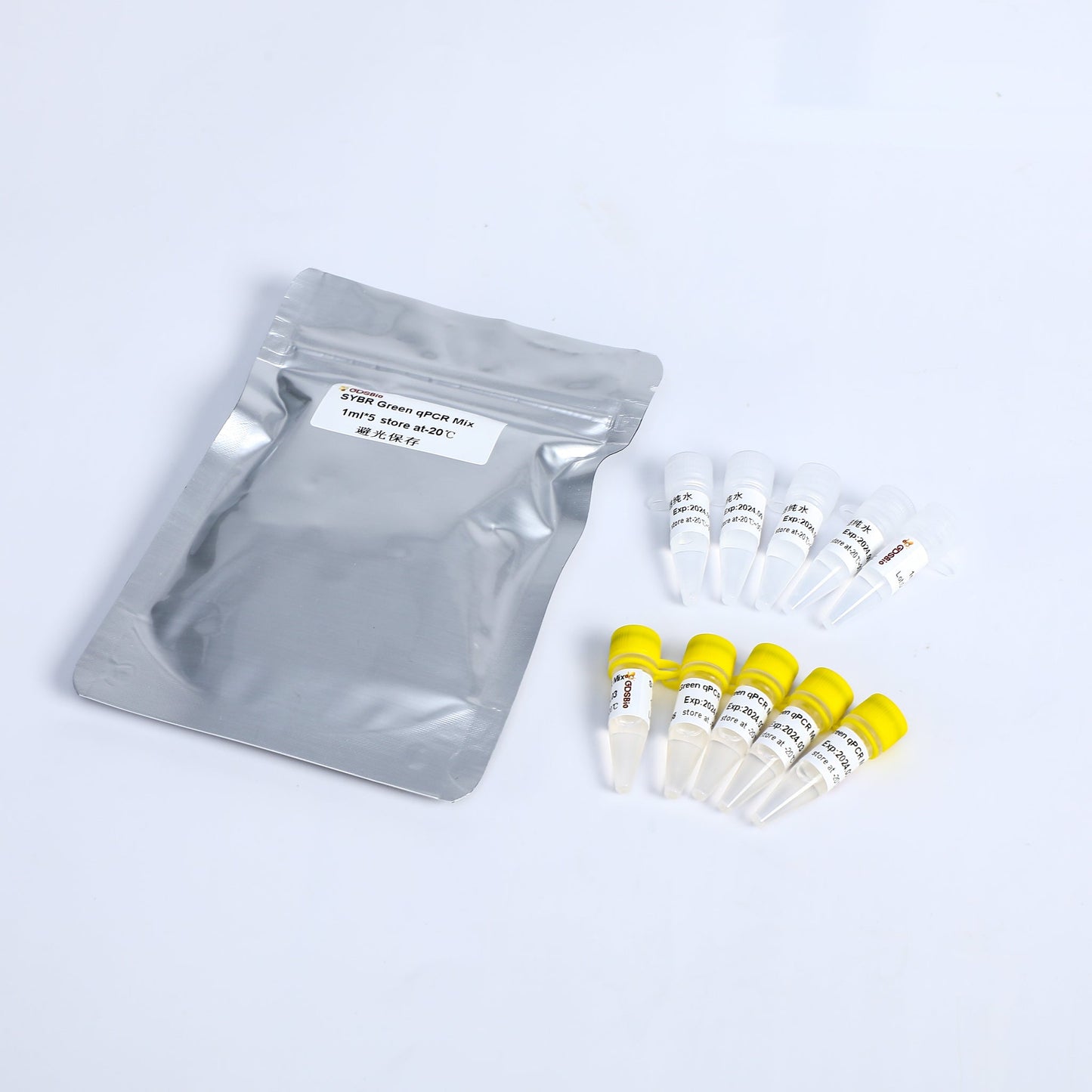 SYBR Green qPCR Mix (High ROX+)