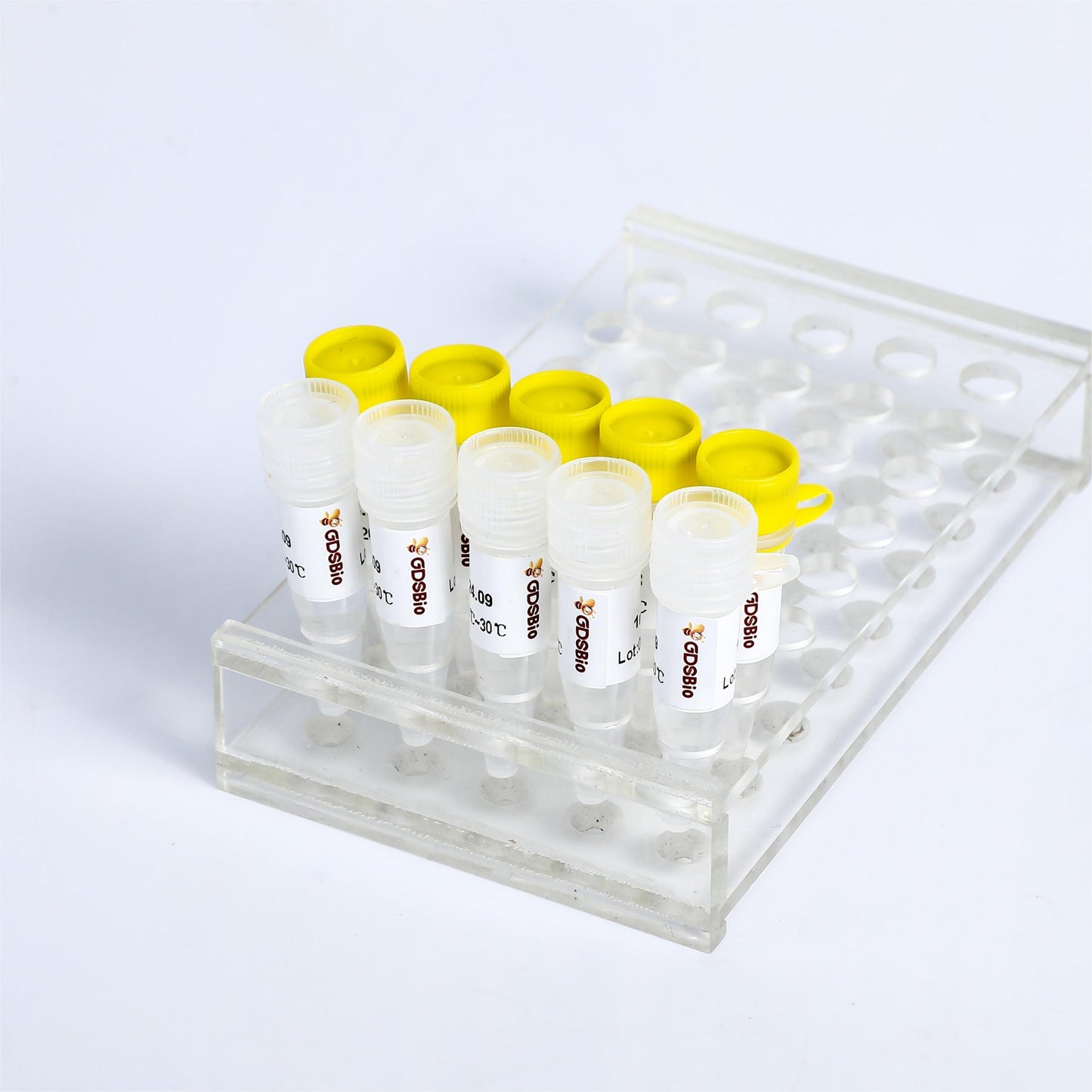 SYBR Green qPCR Mix (NO ROX)