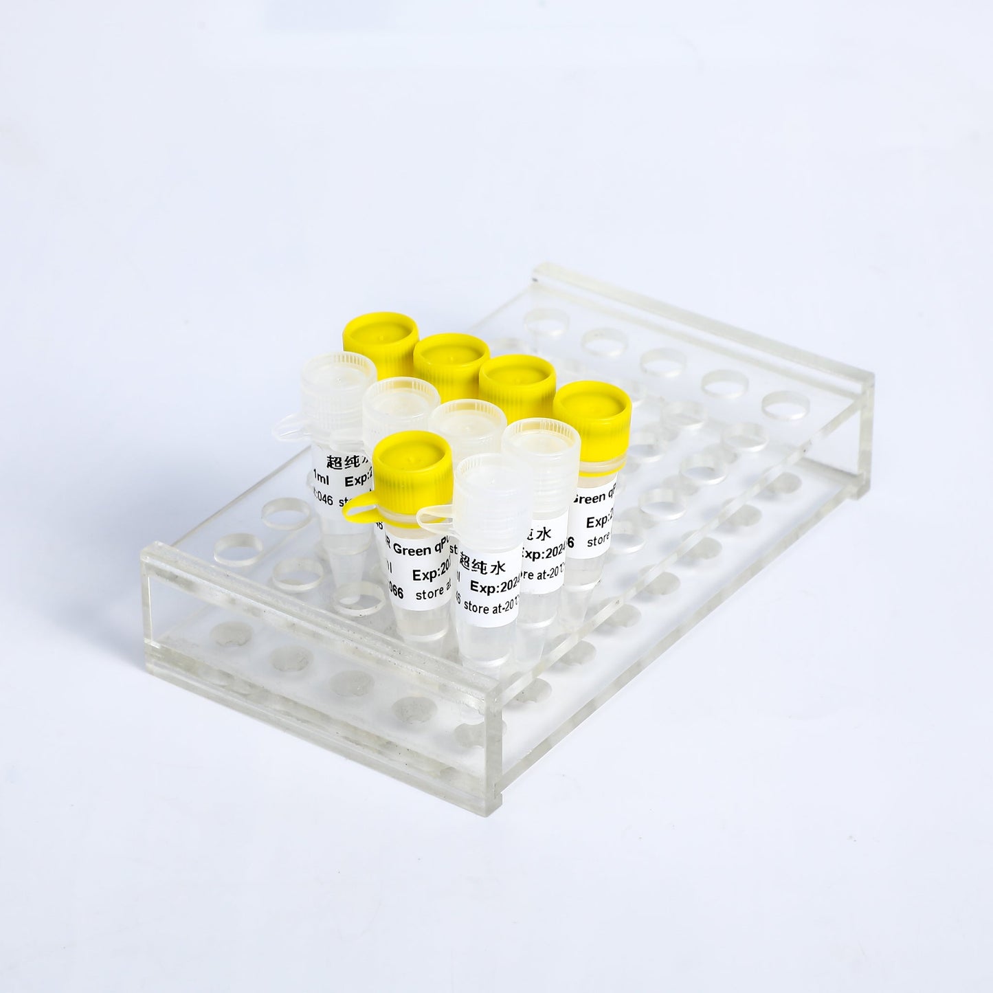 SYBR Green qPCR Mix (Low ROX+)