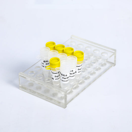 SYBR Green qPCR Mix (Low ROX+)