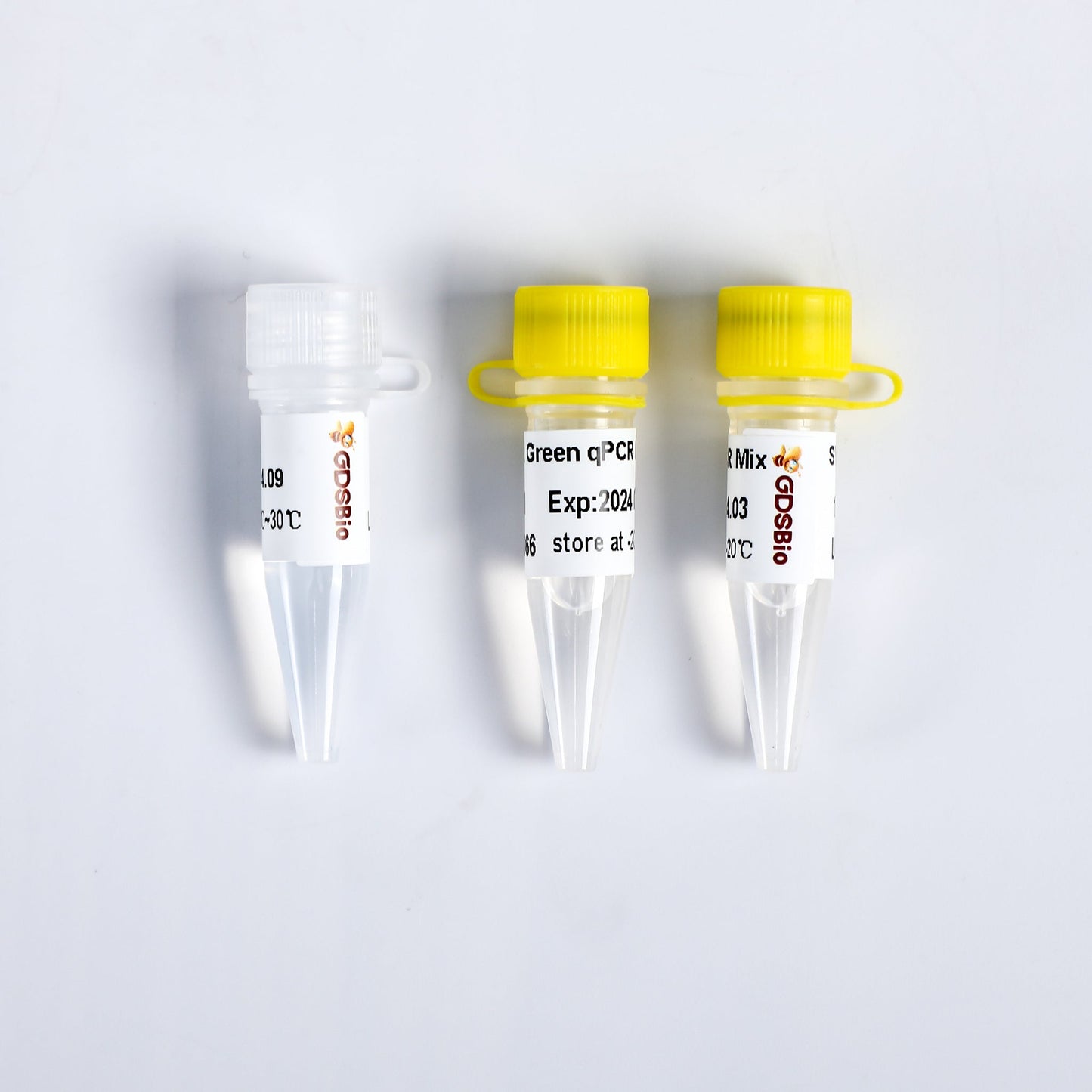 SYBR Green qPCR Mix (Low ROX+)